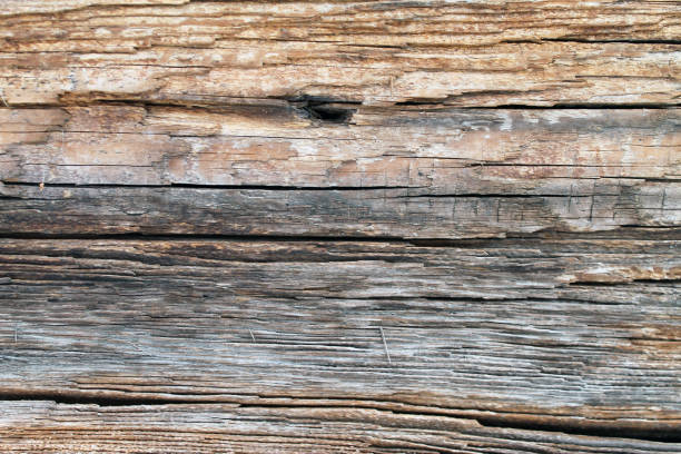 istock The old wood texture with natural patterns. Inside the tree background. Old grungy and weathered grey wooden wall planks texture background 1067105132