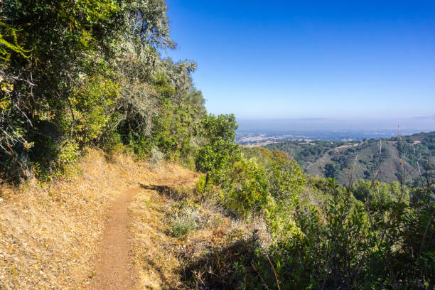 istock Hiking trail, San Francisco bay area 1067115572