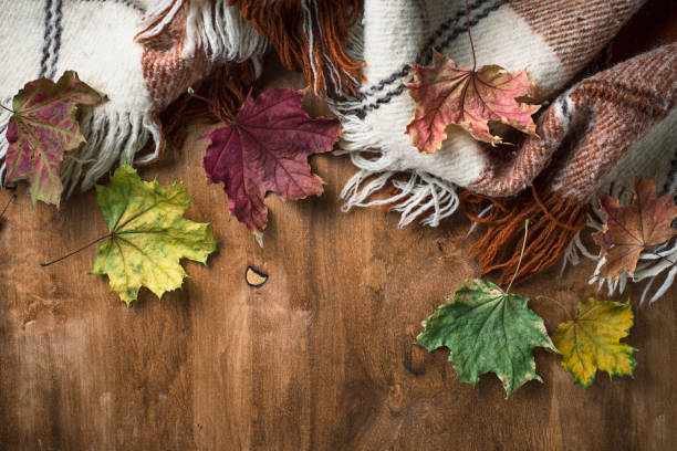 istock Autumn background with plaid and leaves 1067116842