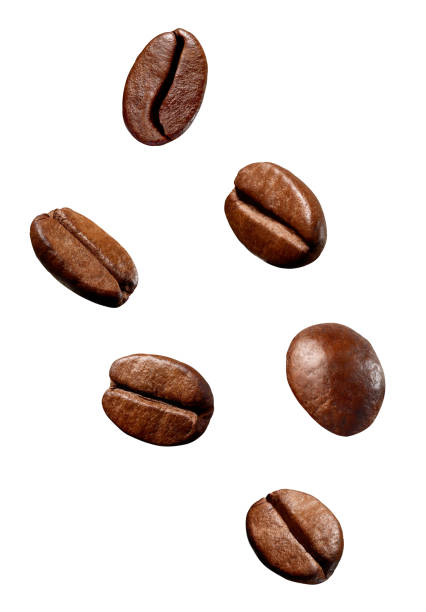 istock coffee bean brown roasted caffeine espresso seed 1067119070