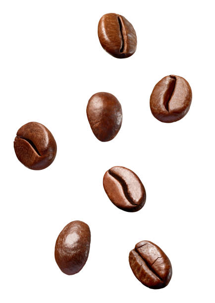istock coffee bean brown roasted caffeine espresso seed 1067119810