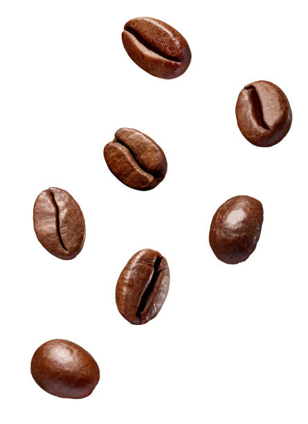istock coffee bean brown roasted caffeine espresso seed 1067120360