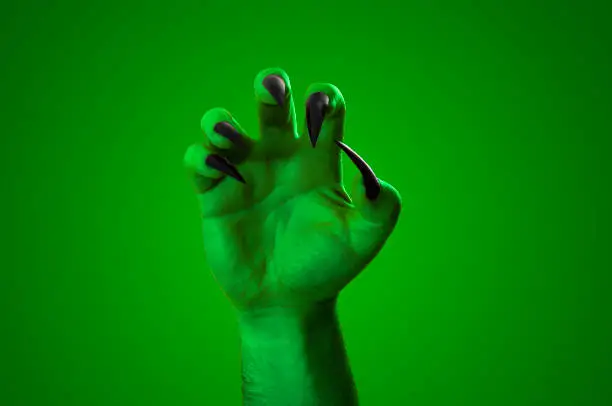 Halloween, nightmare creature and evil monster horror story concept with a scary zombie or demon hand with creepy long black nails isolated on green with a clip path cutout