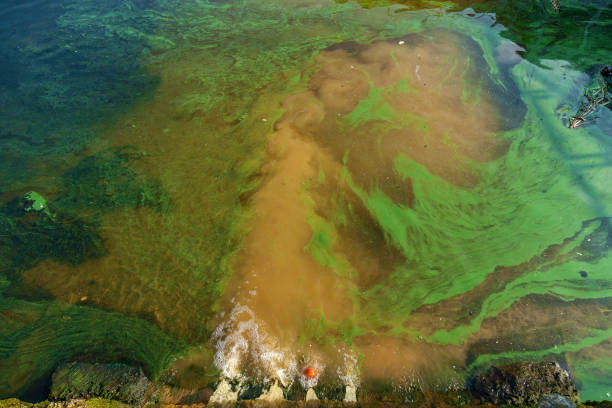istock Pollution of the Dnieper by sewage 1067127248