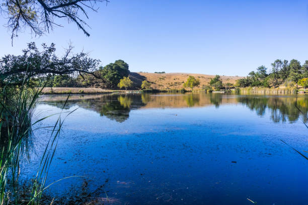 istock Boronda Lake, San Francisco bay area 1067130494
