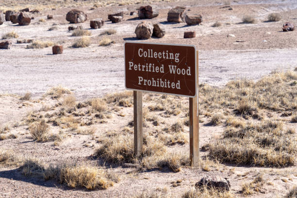 znak czytania zbieranie skamieniałe drewno zabronione w arizonie skamieniałe forest national park i malowane desert - petrified forest national park zdjęcia i obrazy z banku zdjęć