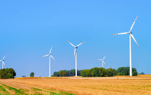 istock Wind mills in South Moravia 1067133024