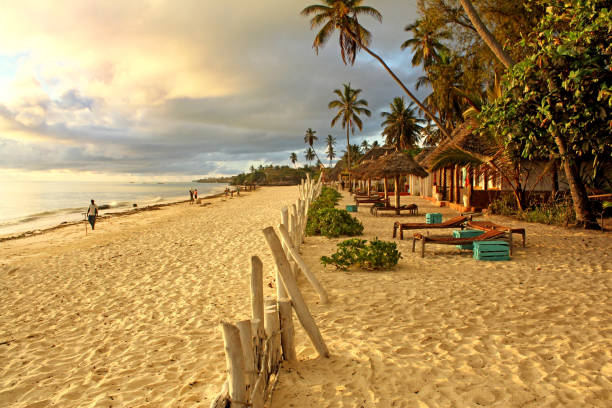 istock Tropical exotic beach on sunny morning in Zanzibar 1067133838
