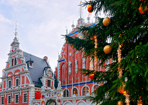 Fragment of House of Blackheads and Christmas Tree in Riga