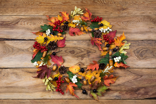 Thanksgiving door wreath with red maple, green and yellow oak leaves, viburnum, black berries, acorns, pine cones, copy space
