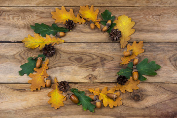 Thanksgiving door wreath with green and yellow oak leaves, acorns and pine cones, copy space