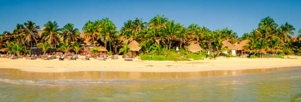 istock Idyllic tranquil view of summer beach landscape with palm trees, Mexico 1067150422