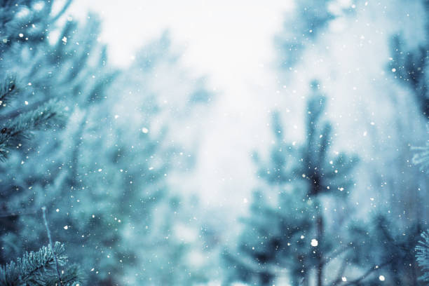 istock Winter scene - snowfall in the woods 1067152074