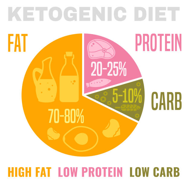 Low Carbohydrate Diet Low carbohydrate high fat ketogenic diet poster. Colourful vector illustration isolated on a light background. Healthy eating concept. ketogenic diet illustrations stock illustrations
