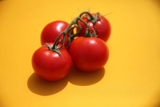 istock Bunch of fresh red tomatoes isolated on yellow background 1067159682