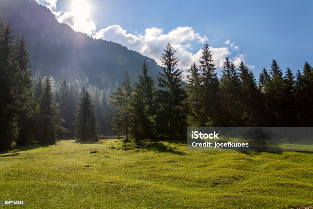 Beautiful nature scenery at Lake Pillersee with deep forest and Seehorn mountain, Sankt Ulrich am Pillersee, Austria, sunny summer day Austria Stock Photo