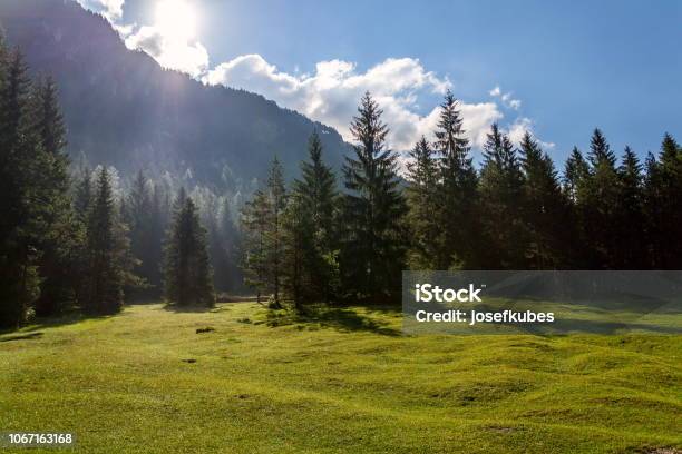 Beautiful Nature Scenery At Lake Pillersee With Deep Forest And Seehorn Mountain Sankt Ulrich Am Pillersee Austria Sunny Summer Day Stock Photo - Download Image Now