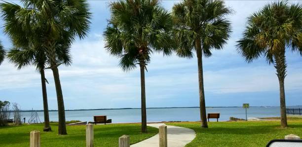 istock Palm Trees, Green Grass and Ocean 1067164870