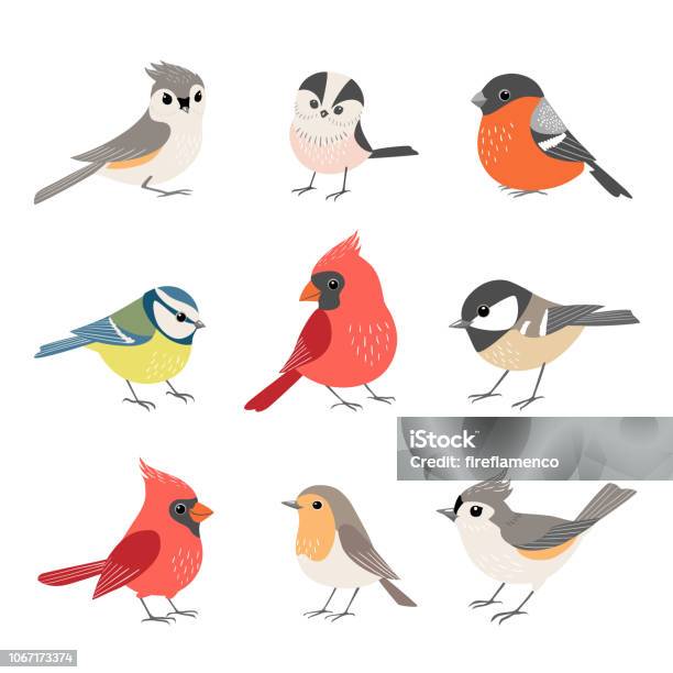 Kolekcja Uroczych Ptaków Zimowych - Stockowe grafiki wektorowe i więcej obrazów Ptak - Ptak, Rudzik zwyczajny, Grafika wektorowa