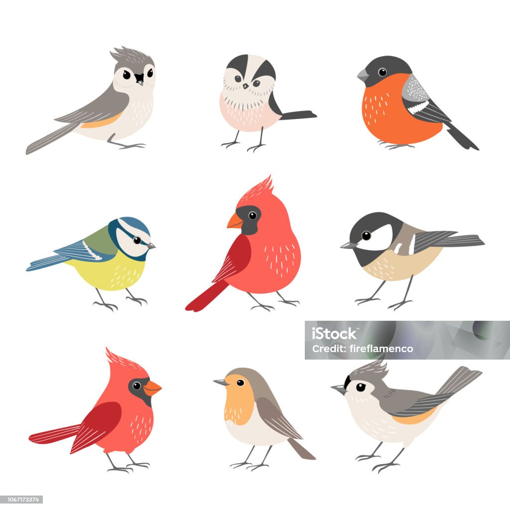 Collection of cute winter birds Set of cute winter birds isolated on white background Bird stock vector