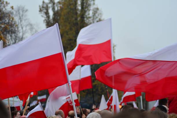 istock Patriotic manifestation with flags 1067183364