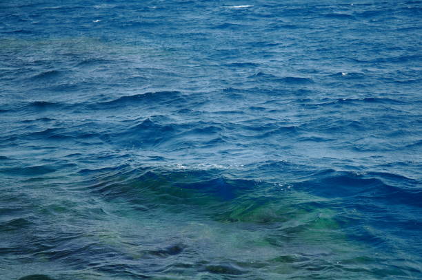 istock Blue sea water. Ocean surface for natural background 1067187394