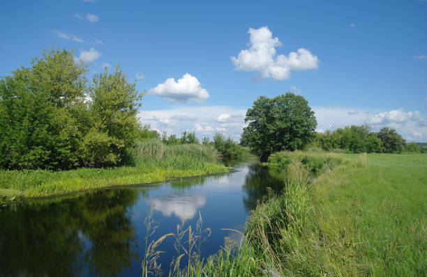 istock Summer lake near the forest with trees. 1067187446