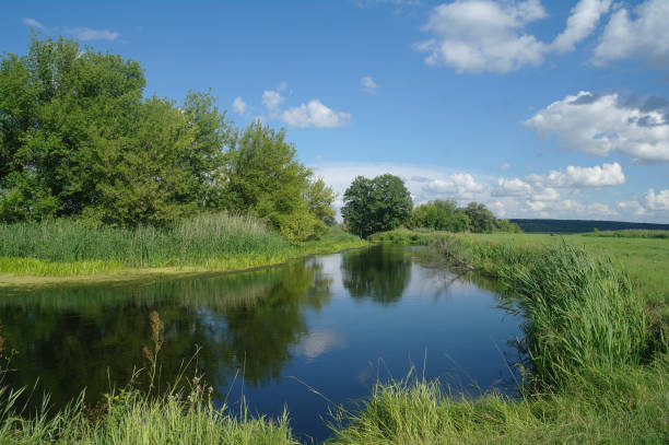 istock Summer lake near the forest with trees. 1067187474