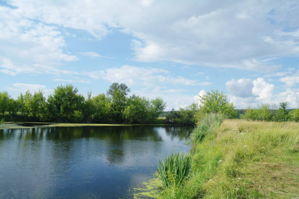 istock river, land with trees and cloudy sky 1067187538