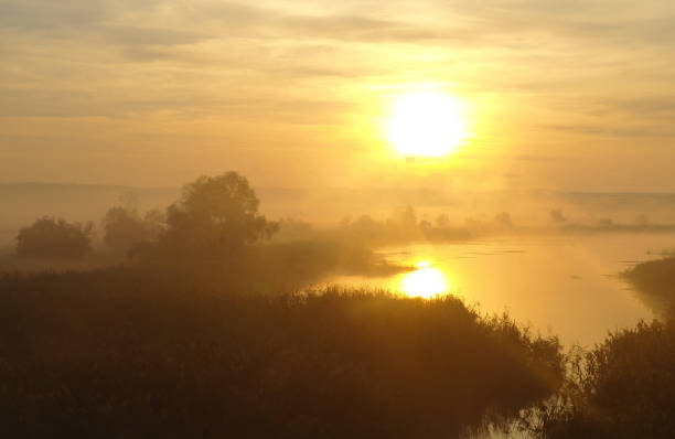 istock Landscape with river at early morning time 1067187546