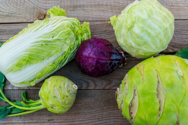 vários tipos de repolho na mesa de madeira rústica. vista superior - kohlrabi purple cabbage organic - fotografias e filmes do acervo