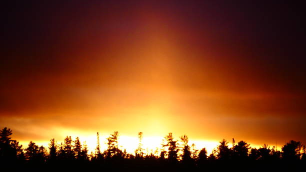 istock Bright orange sunset over fir trees 1067216432