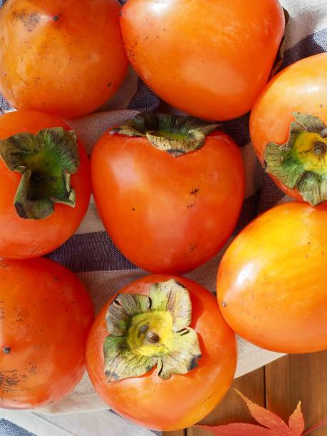 istock Fruits of Korea Ripe persimmon 1067216712