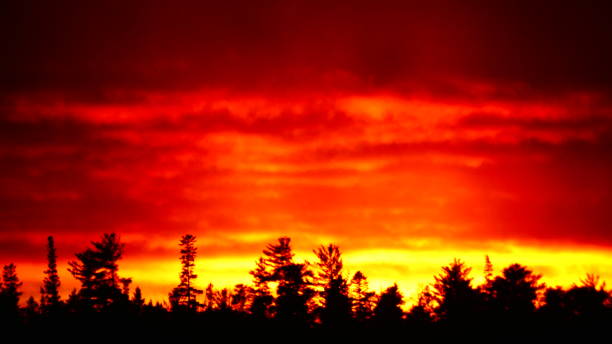 istock Bright orange sunset over fir trees 1067217108