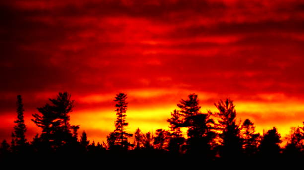 istock Bright orange sunset over fir trees 1067217154