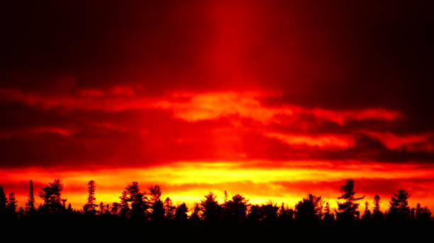 istock Bright orange sunset over fir trees 1067217204