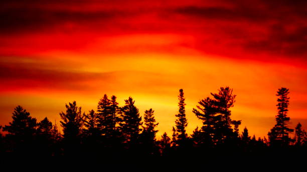 istock Bright orange sunset over fir trees 1067217552