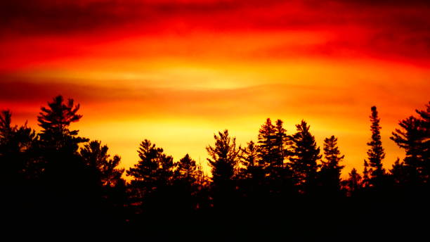 istock Bright orange sunset over fir trees 1067217554