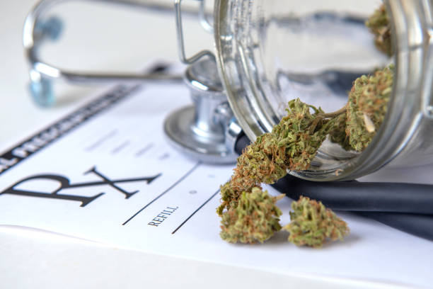 istock Medical marijuana concept with dry cannabis buds and stethoscope 1067220824