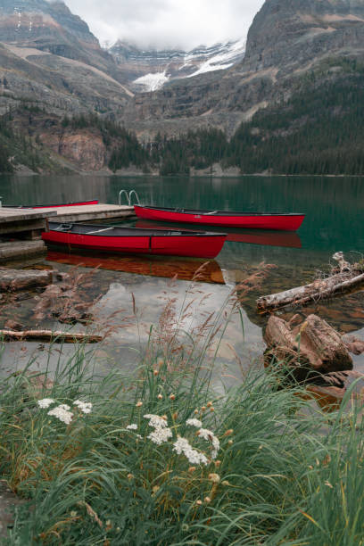 istock Two canoes in an alpine lake awaiting use 1067231254