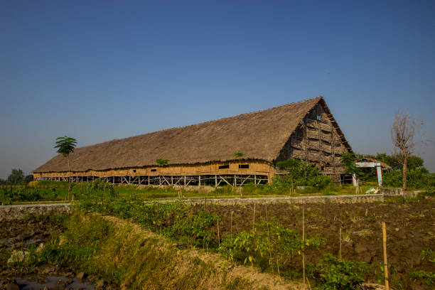 istock House Of Tobbaco Plant 1067236638