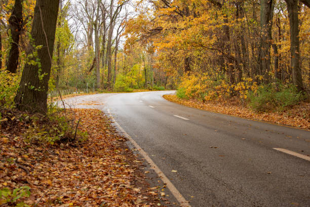 istock Trees in autumn colors frames the road in state park 1067240388
