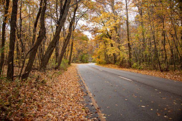 istock Trees in autumn colors frames the road in state park 1067240554