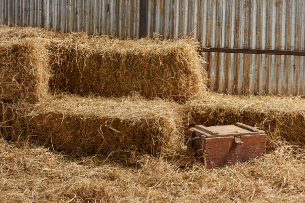 Stacked hay in farm barn at countryside