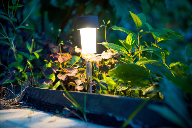 istock Outdoor lights in the forest park 1067276682