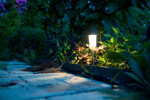 istock Outdoor lights in the forest park 1067276684