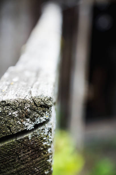 istock Old wooden fence. Selective focus. 1067283514