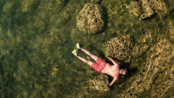 istock Man swimming in sea urchin zone 1067287298
