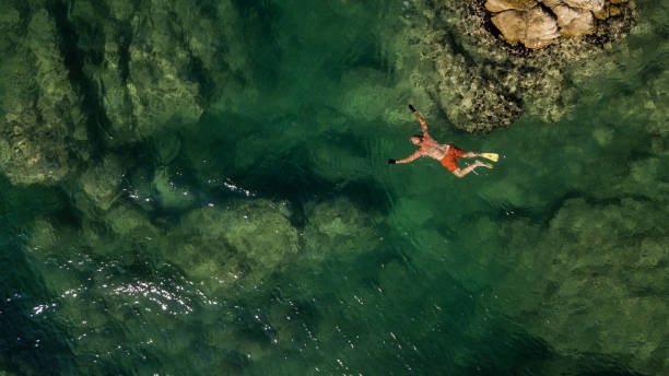 istock Free diver in the sea, aerial view 1067287348