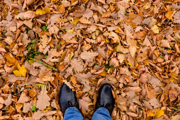 istock Yellow leaves on the ground with human feet 1067290454